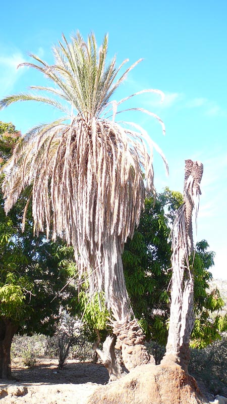 P1100626