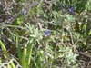 DSC00657