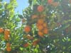 DSC00827