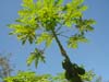 DSC00851