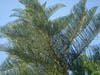 DSC00854