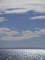 PICT0201