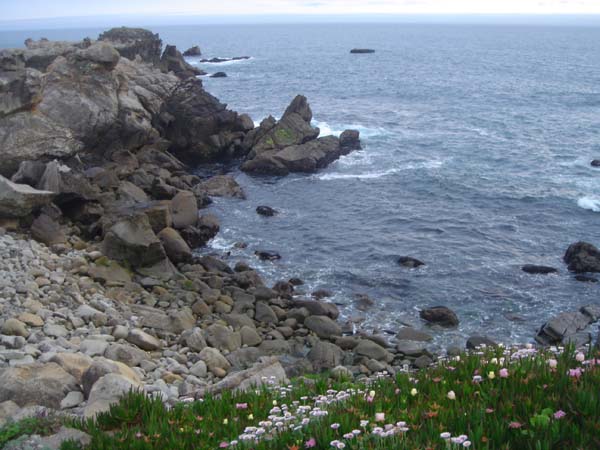 DSC01301