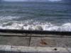 PICT0007