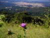 PICT0032