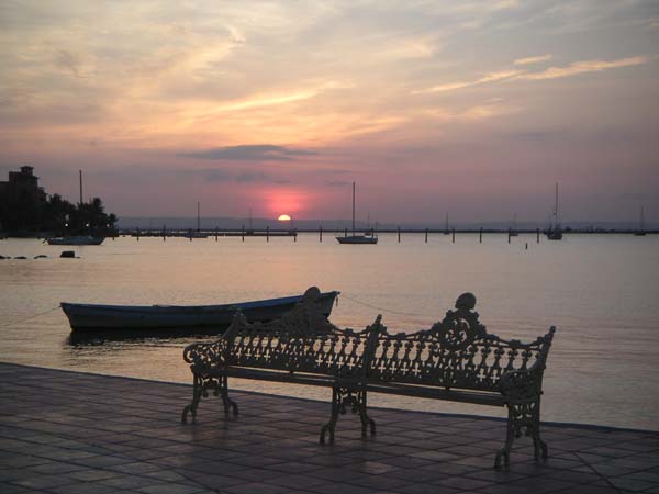 PICT0081