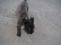 PICT0043