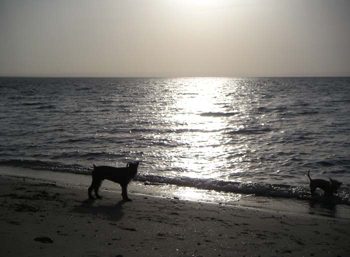 PICT0040