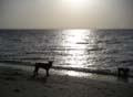 PICT0040
