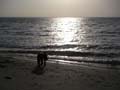 PICT0041