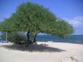 PICT0013