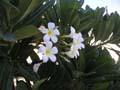PICT0039