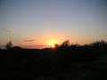 PICT0046