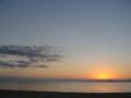 DSC02995