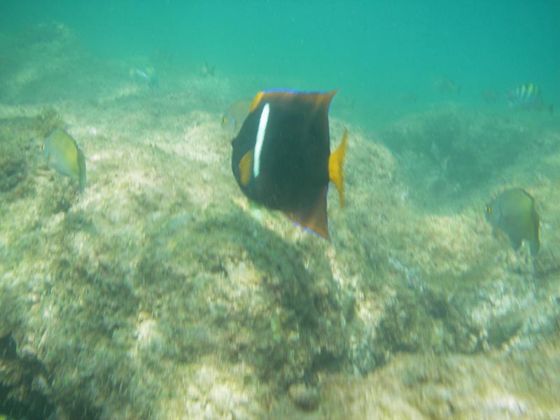 IMGP0335