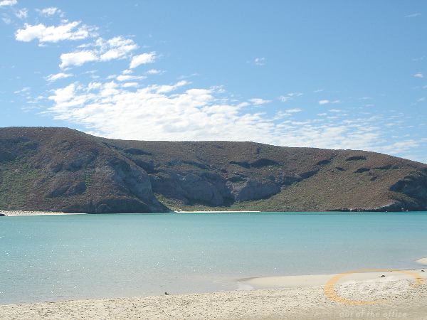 DSC00284