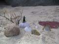 PICT0020