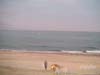 PICT0072