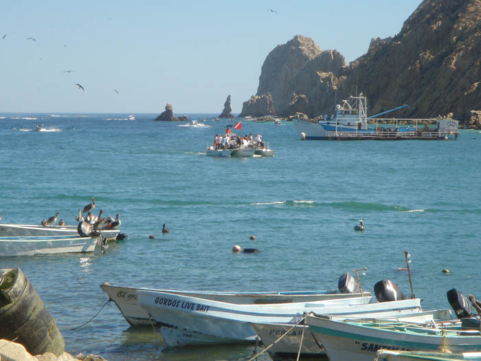 DSC04259