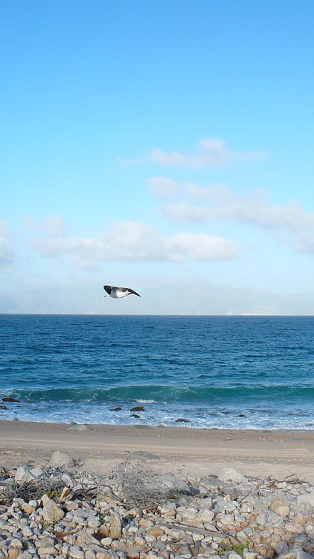 P1090739