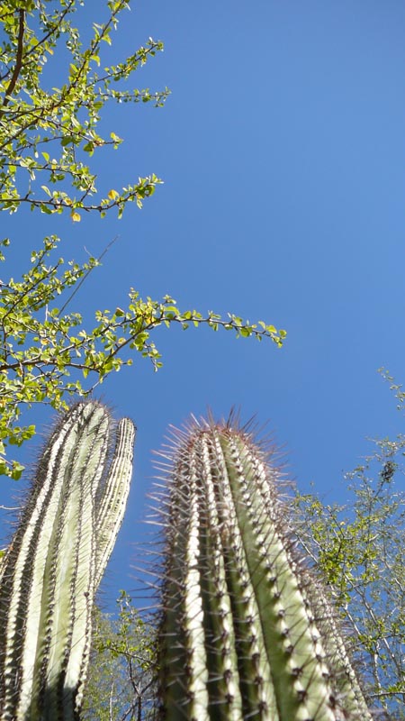 P1140507