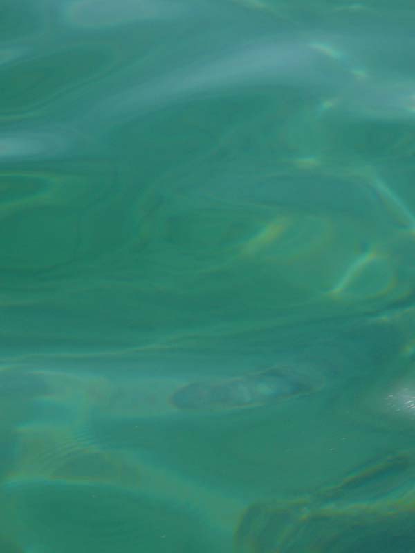 P1070638