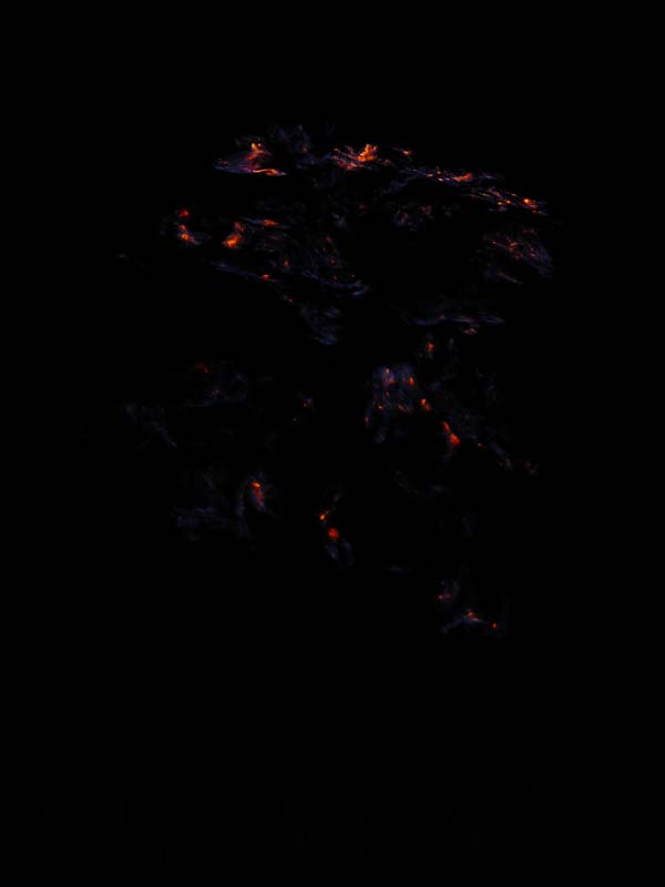 P1070768