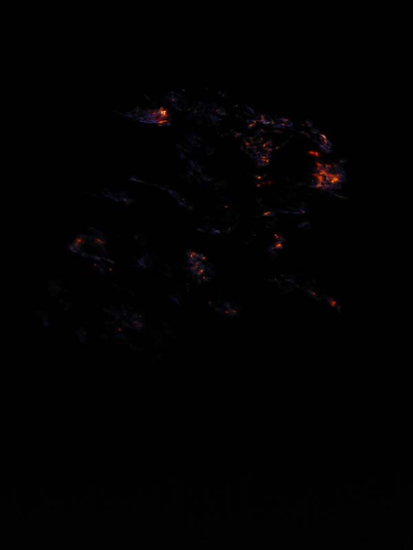 P1070769