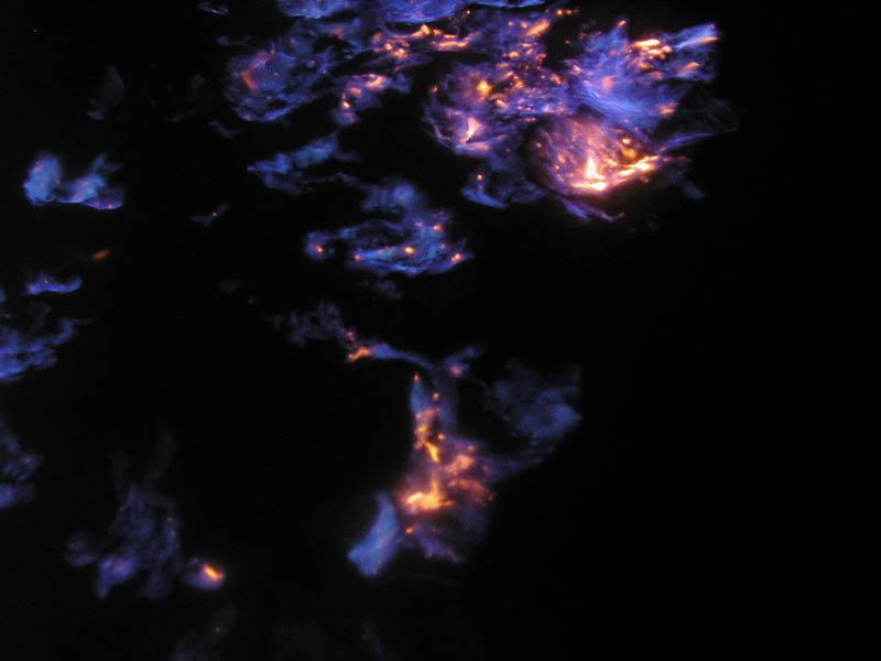 P1130106