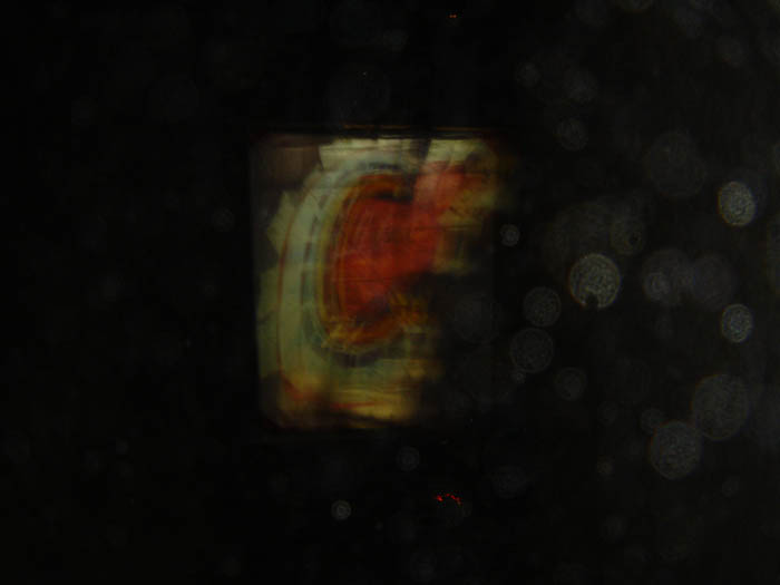DSC04497