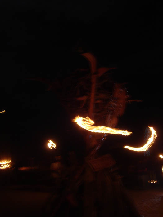 DSC04530