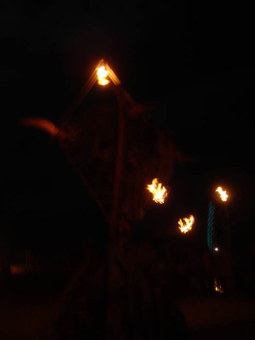 DSC04534