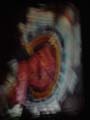 DSC04489