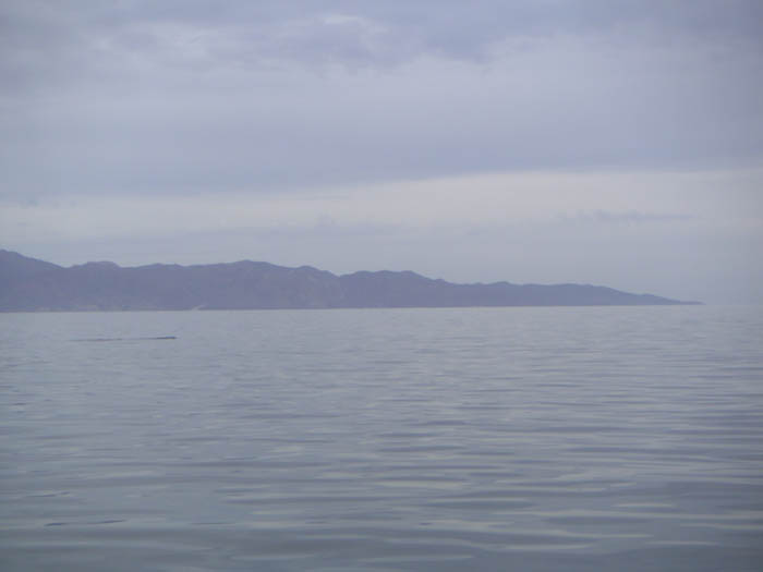 PICT0043