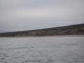 PICT0020