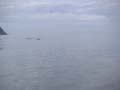 PICT0045