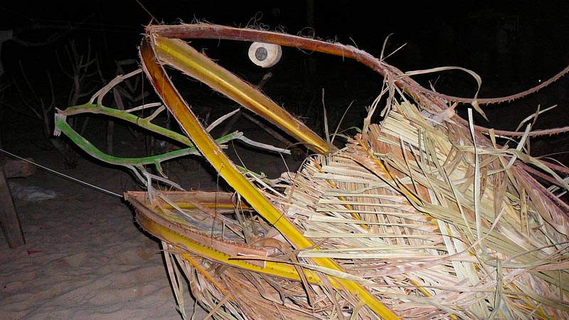 P1100110