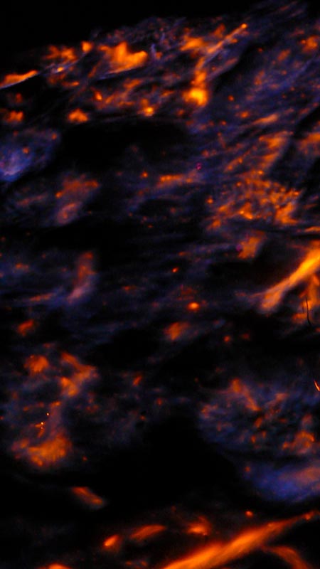 P1100120
