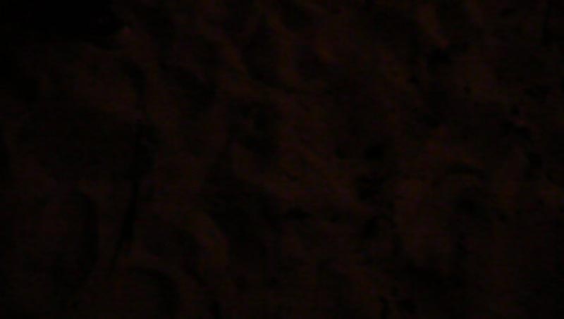P1100161