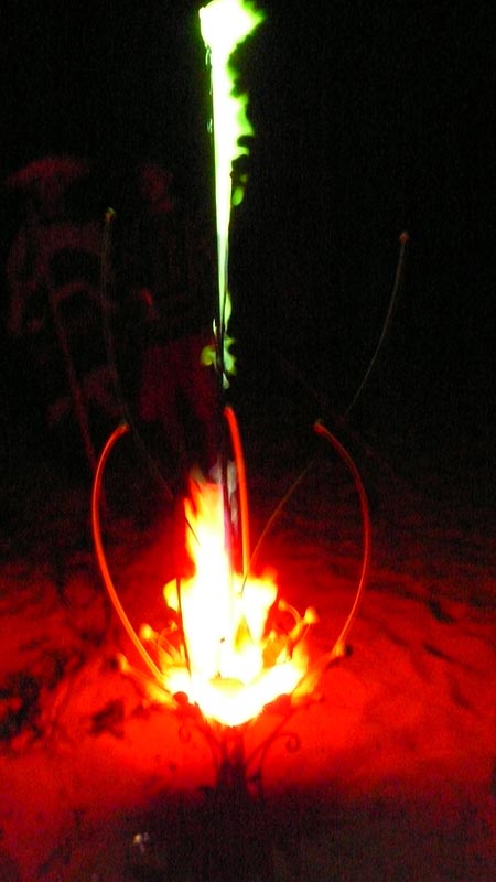 P1100167