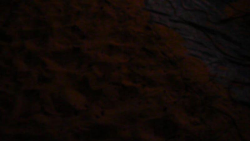 P1100180