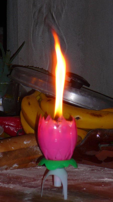 P1100402