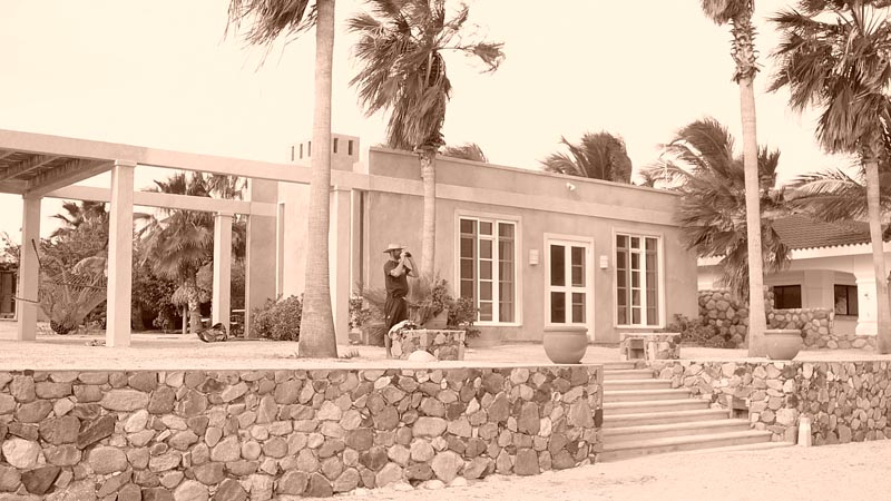 P1100546