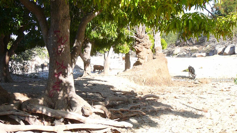 P1100636