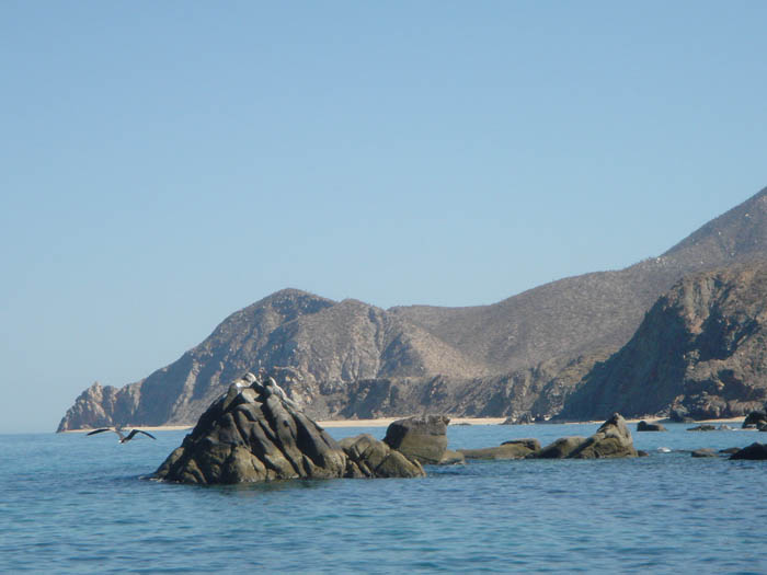 DSC04653