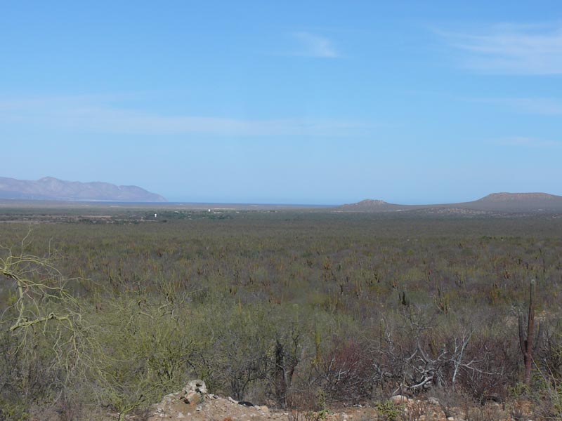 P1100684