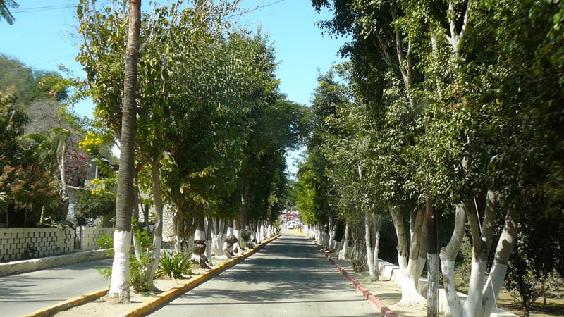 P1110054