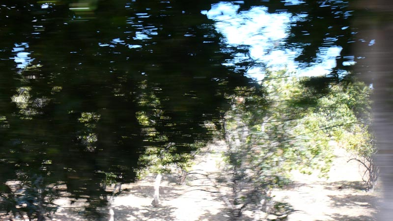 P1110056