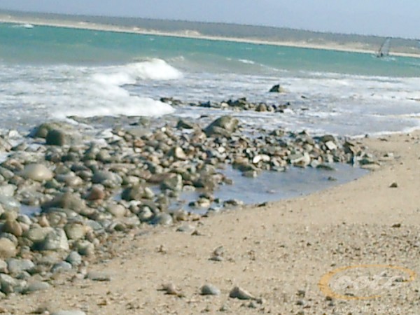 CIMG003101
