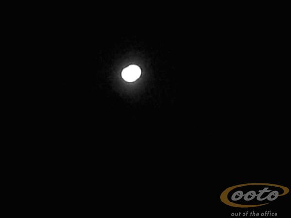 CIMG0054